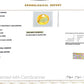 Natural Yellow Sapphire (Pukhraj) 4.08 Ct – Certified Premium Gemstone
