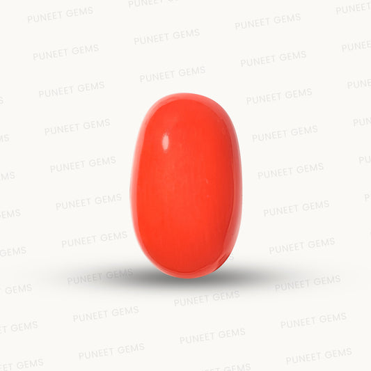 Natural Coral Gemstone – The Gem of Strength, Vitality & Protection 4.13 CT