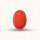 Natural Coral Gemstone – The Gem of Strength, Vitality & Protection 4.24 CT
