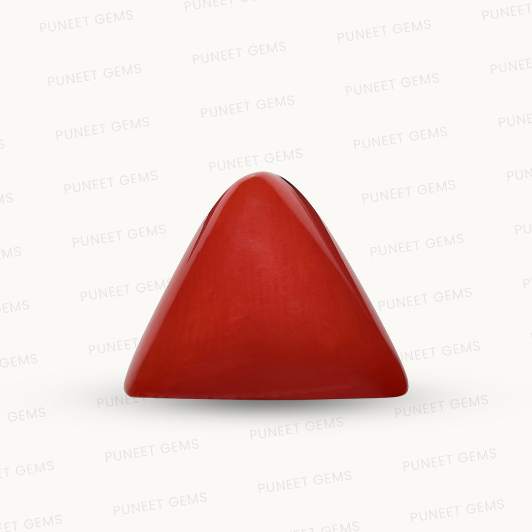 Natural Triangle Coral – The Gem of Strength, Vitality & Protection 4.52 CT