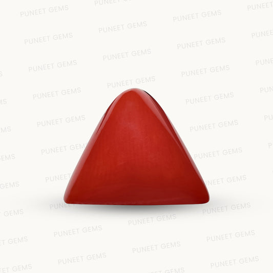 Natural Triangle Coral – The Gem of Strength, Vitality & Protection 4.52 CT