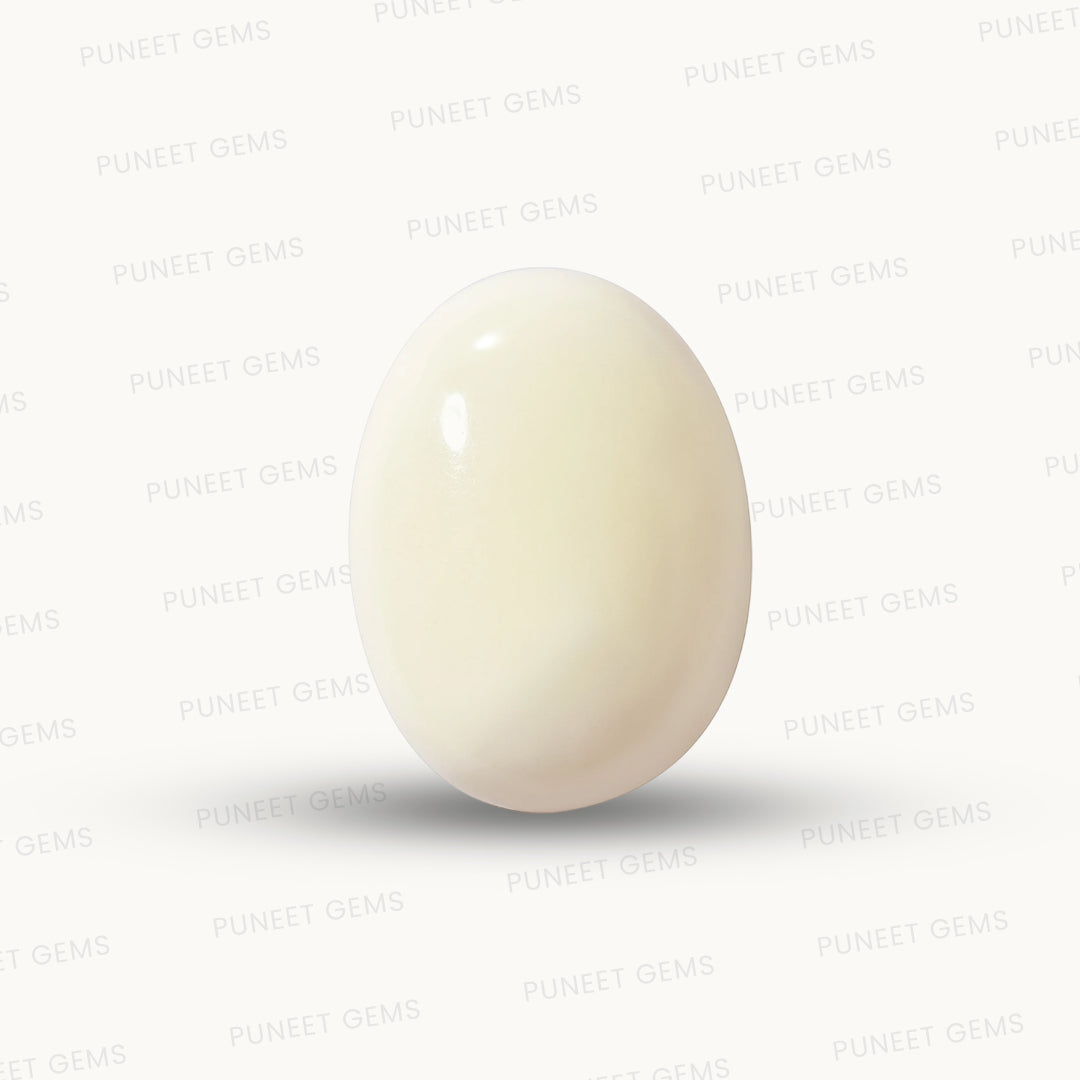 Natural White Coral Gemstone – The Gem of Strength, Vitality & Protection 4.88 CT