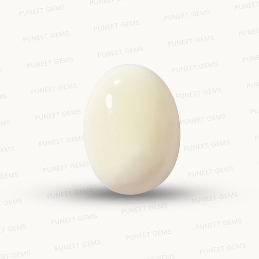 Natural White Coral Gemstone – The Gem of Strength, Vitality & Protection 4.88 CT
