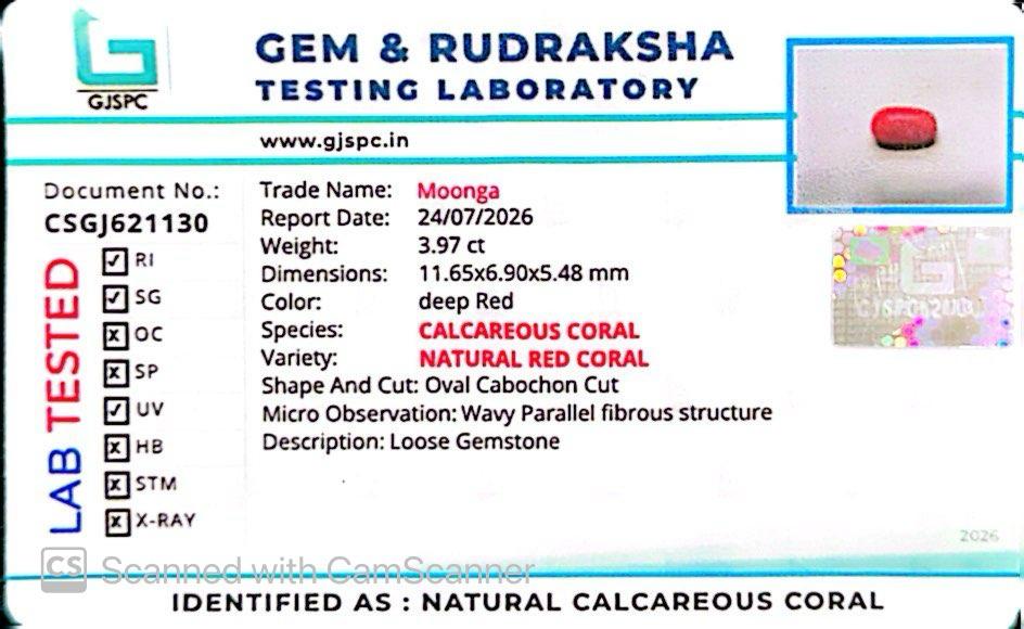 Natural Red Coral (Moonga) – Italy Origin – Certified & Untreated Gemstone for Mars Energy 3.97 CT