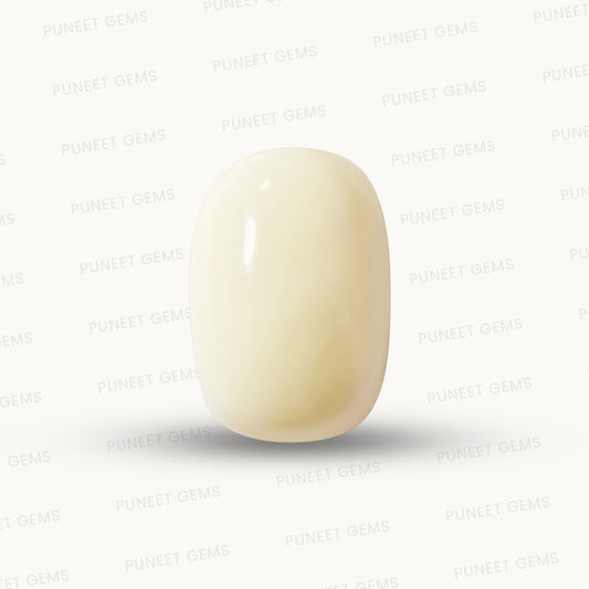 Natural White Coral Gemstone – The Gem of Strength, Vitality & Protection 5.10 CT