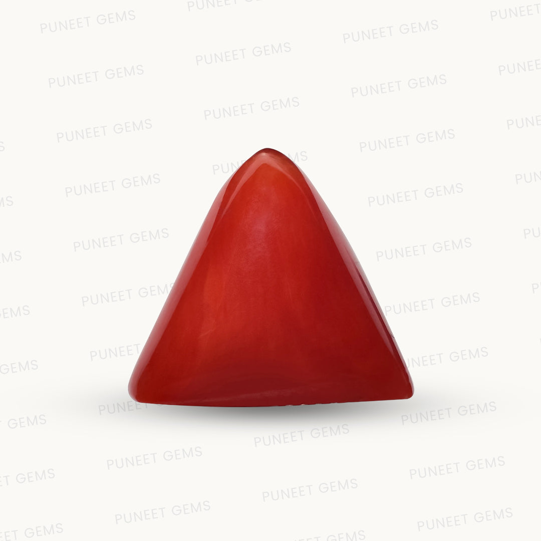 Natural Triangle Coral – The Gem of Strength, Vitality & Protection 5.15 CT