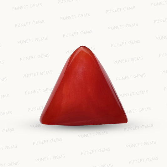 Natural Triangle Coral – The Gem of Strength, Vitality & Protection 5.15 CT