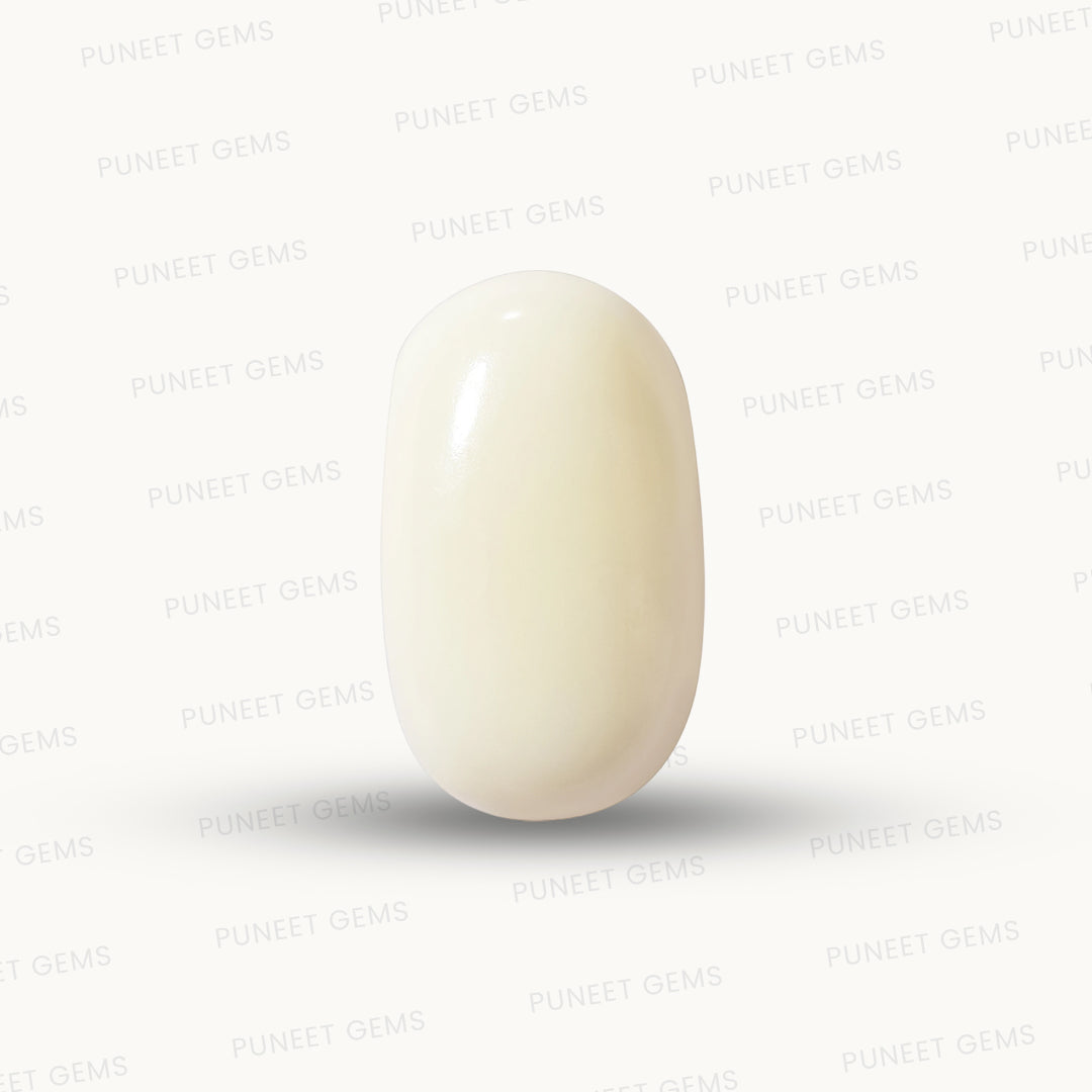 Natural White Coral Gemstone – The Gem of Strength, Vitality & Protection 5.17 CT