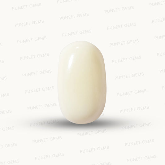 Natural White Coral Gemstone – The Gem of Strength, Vitality & Protection 5.17 CT