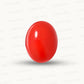 Red Coral Japanese – Natural Moonga for Strength 5.19 CT