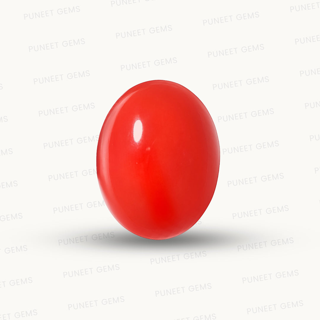 Red Coral Japanese – Natural Moonga for Strength 5.19 CT
