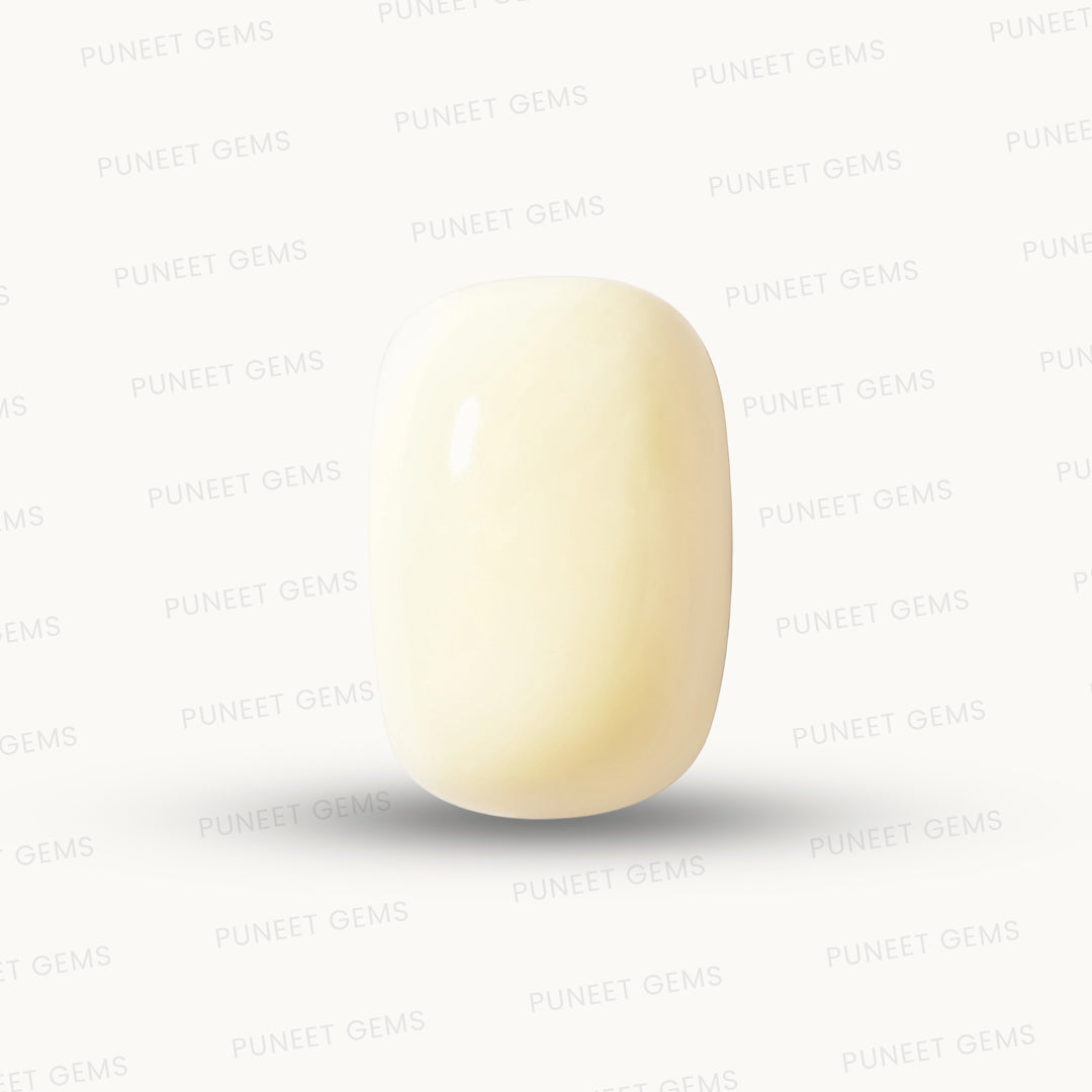 Natural White Coral Gemstone – The Gem of Strength, Vitality & Protection 5.28 CT