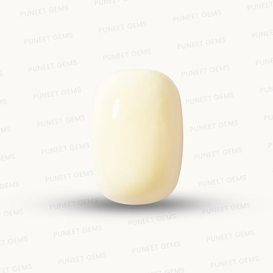 Natural White Coral Gemstone – The Gem of Strength, Vitality & Protection 5.28 CT