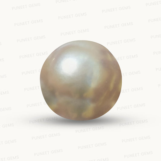 Natural Pearl (Moti) – The Gem of Purity, Elegance & Peace 5.30 CT