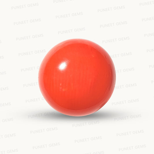 Natural Round Coral – The Gem of Strength, Vitality Protection 5.31 CT