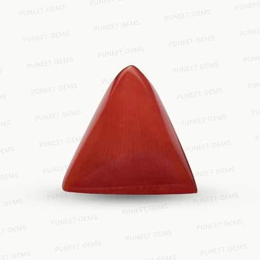 Natural Triangle Coral – The Gem of Strength, Vitality & Protection 5.48 CT