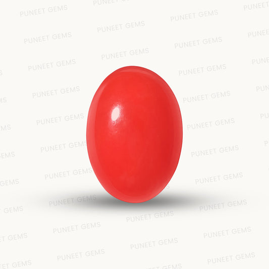 Red Coral Japanese – Natural Moonga for Strength 5.54 CT