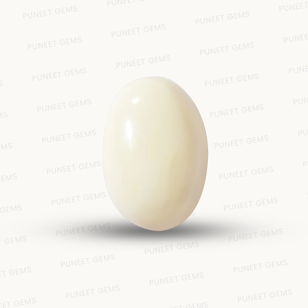 Natural White Coral Gemstone – The Gem of Strength, Vitality & Protection 5.57 CT