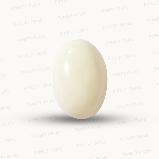 Natural White Coral Gemstone – The Gem of Strength, Vitality & Protection 5.57 CT