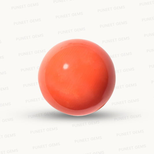 Natural Round Coral – The Gem of Strength, Vitality Protection 5.59 CT