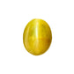 Natural Cat’s Eye Gemstone (Lehsunia) – Protection, Intuition & Ketu’s Power 5.60 CT