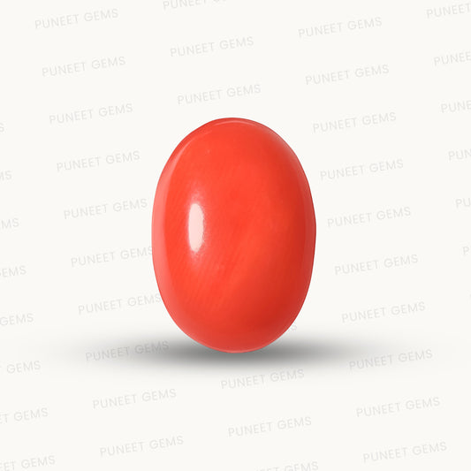 Red Coral Japanese – Natural Moonga for Strength 5.69 CT