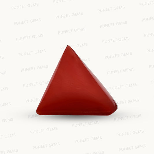 Natural Triangle Coral – The Gem of Strength, Vitality & Protection 5.70 CT