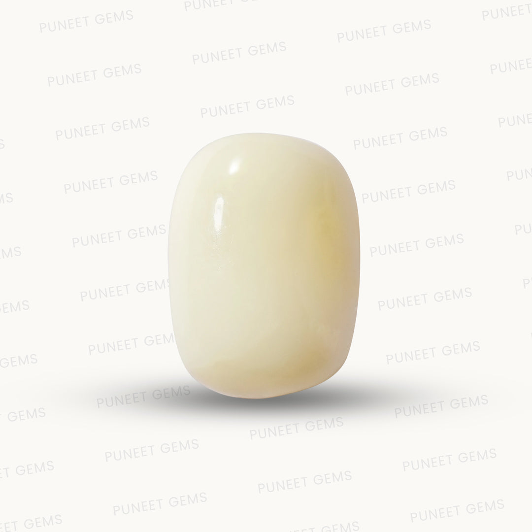Natural White Coral Gemstone – The Gem of Strength, Vitality & Protection 5.71 CT