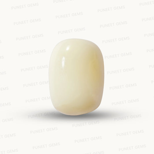 Natural White Coral Gemstone – The Gem of Strength, Vitality & Protection 5.71 CT