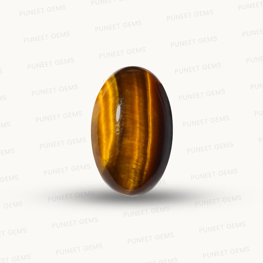Tiger Gemstones – Courage, Confidence & Grounding Energy 5.72 CT