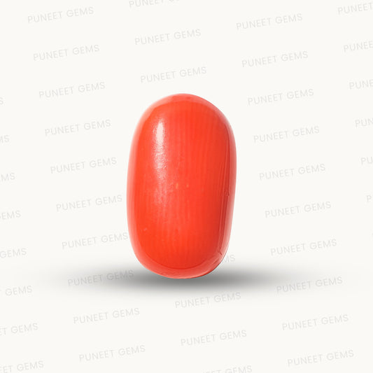 Natural Coral Gemstone – The Gem of Strength, Vitality & Protection 5.75 CT