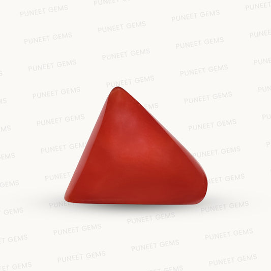 Natural Triangle Coral – The Gem of Strength, Vitality & Protection 5.75 CT