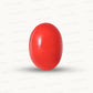 Natural Coral Gemstone – The Gem of Strength, Vitality & Protection 5.62 CT
