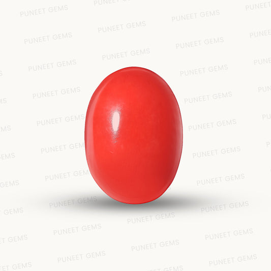 Natural Coral Gemstone – The Gem of Strength, Vitality & Protection 5.62 CT