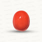 Natural Coral Gemstone – The Gem of Strength, Vitality & Protection 5.79 CT