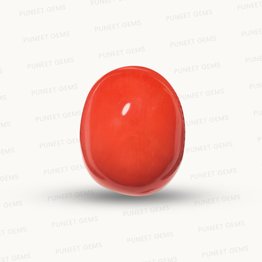 Natural Coral Gemstone – The Gem of Strength, Vitality & Protection 5.79 CT