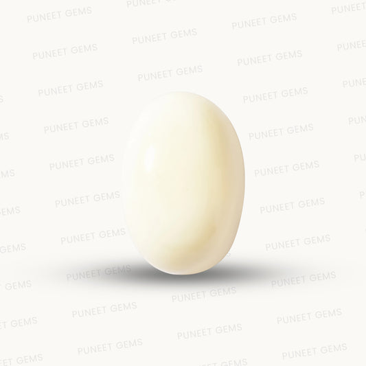 Natural White Coral Gemstone – The Gem of Strength, Vitality & Protection 5.80 CT