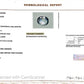 Natural Pitambari 5.84 Ct – Certified Gemstone