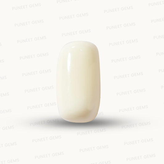 Natural White Coral Gemstone – The Gem of Strength, Vitality & Protection 5.86 CT