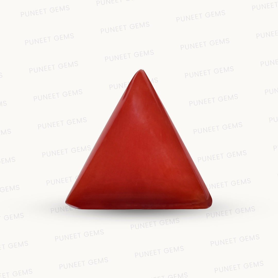 Natural Triangle Coral – The Gem of Strength, Vitality & Protection 5.88 CT