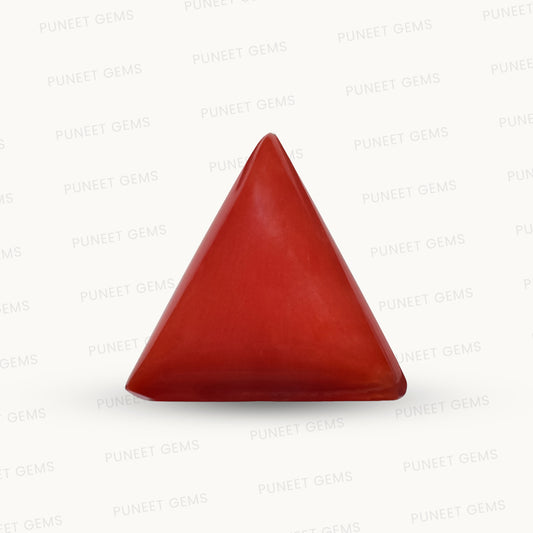 Natural Triangle Coral – The Gem of Strength, Vitality & Protection 5.88 CT