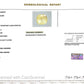 Natural Yellow Sapphire (Pukhraj) 6.96 CT - Certified