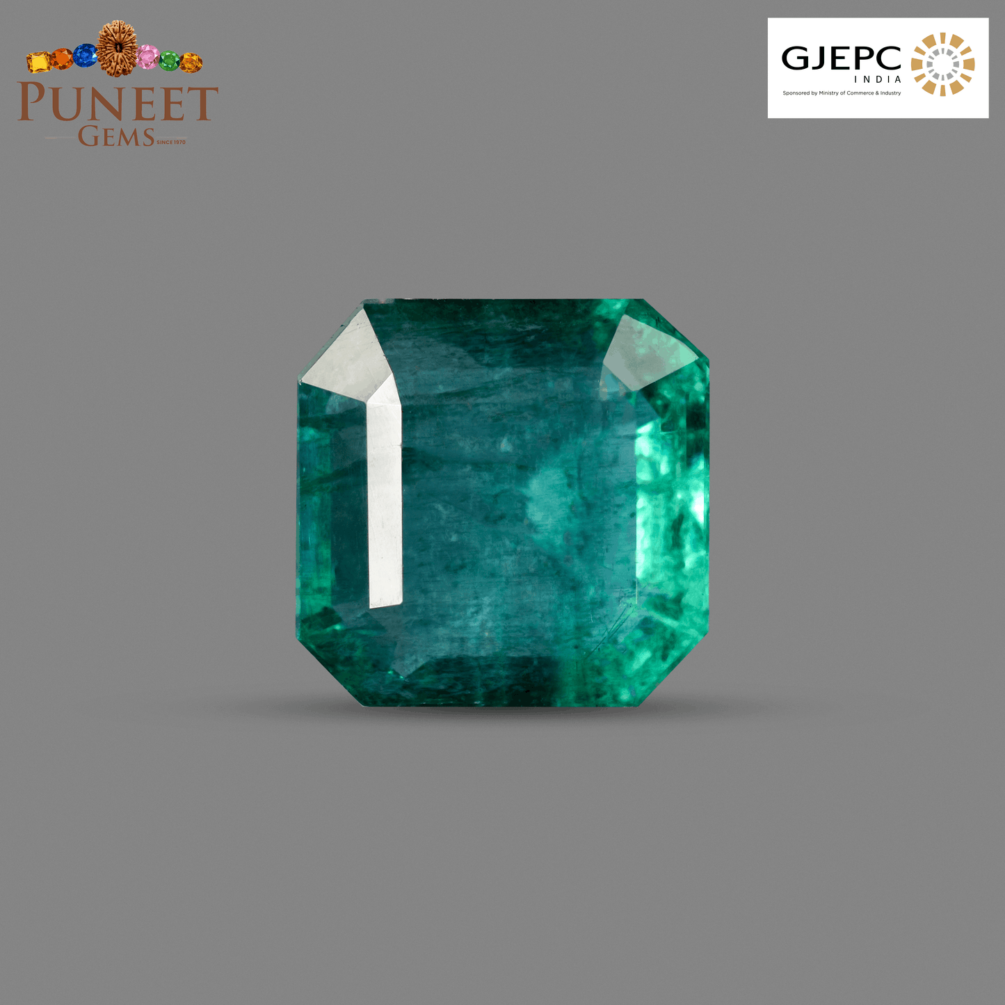 Natural Emerald (Panna) 8.11 Ct – Certified Premium Gemstone
