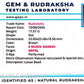 Nepali 6 Mukhi Ganesh Rudraksha