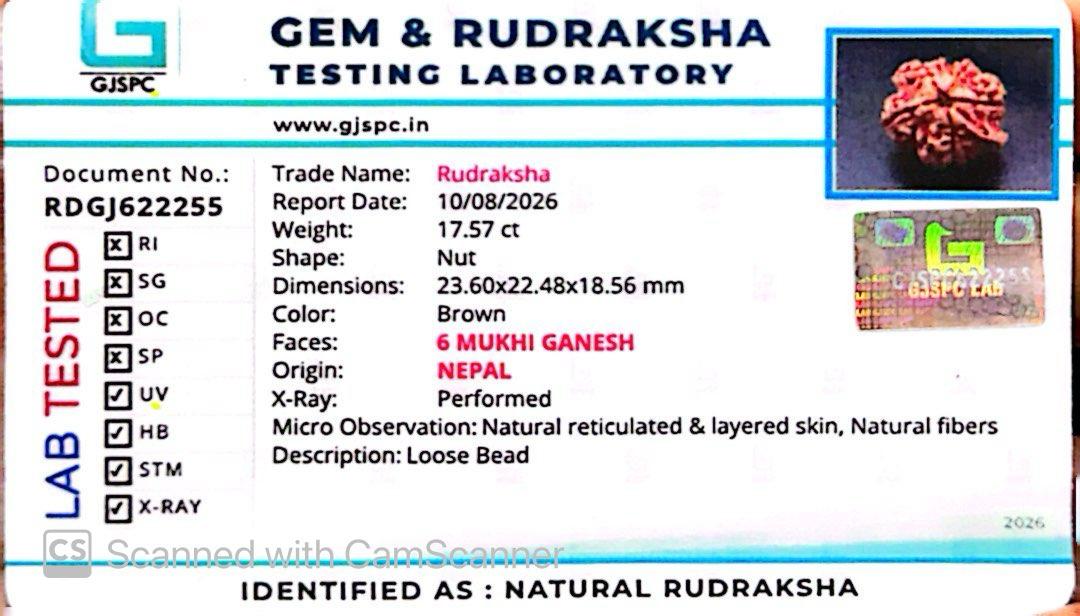 Nepali 6 Mukhi Ganesh Rudraksha