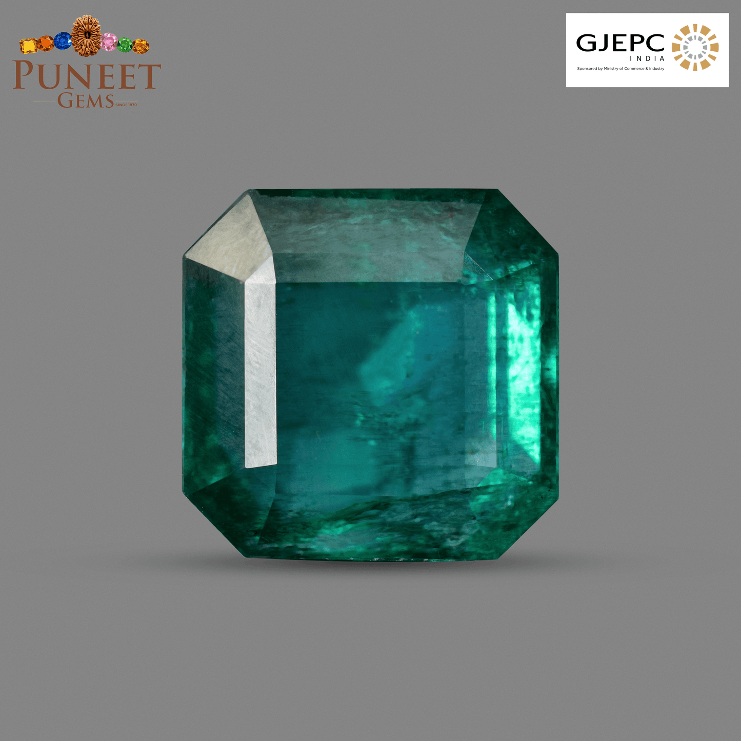 Natural Emerald (Panna) 11.46 Ct – Certified Premium Gemstone