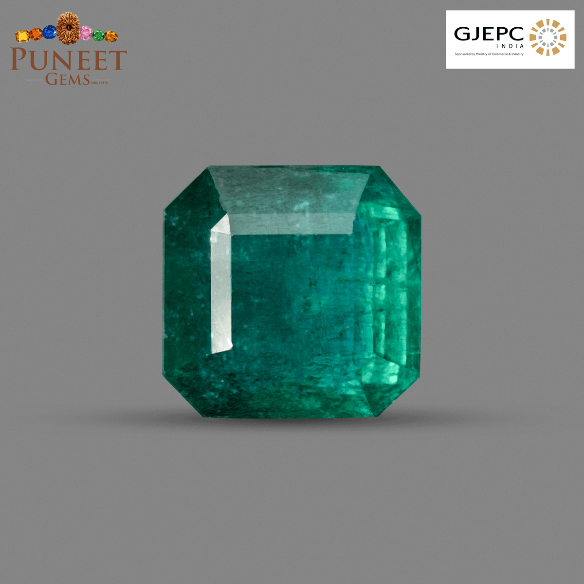 Natural Emerald (Panna) 12.07 Ct – Certified Premium Gemstone