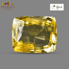 Natural Yellow Sapphire (Pukhraj) 51.35 Ct – Certified Premium Gemstone