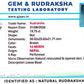 🌿 14 Mukhi Nepali Rudraksha (Natural & Certified). Medium