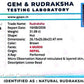 Nepali 4 Mukhi Rudraksha